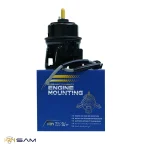 دسته موتور سانتافه 2700 ، وراکروز - تصویر 2