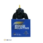 دسته موتور ولستر ، النترا YD ، اکسنت - تصویر 2