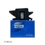 دسته موتور النترا 2017 - تصویر 2