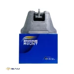 دسته موتور النترا 2017 - تصویر 4