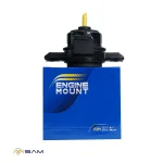 دسته موتور سانتافه ، سورنتو ، وراکروز - تصویر 3