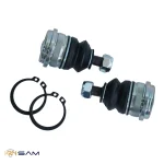 سیبک طبق النترا