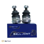 سیبک طبق النترا - تصویر 2