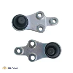 سیبک طبق وراکروز