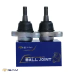 سیبک طبق سوناتا ، آزرا - تصویر 2