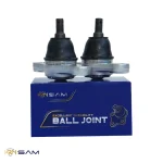 سیبک طبق اپتیما قدیمی ، سراتو - تصویر 2