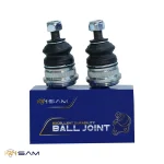 سیبک طبق النترا - تصویر 2