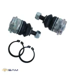 سیبک طبق النترا