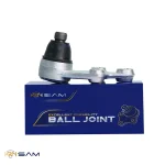 سیبک طبق وراکروز - تصویر 2