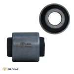 بوش طبق سانتافه ، سوناتا ، آزرا