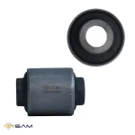 بوش طبق وراکروز ، سانتافه قدیم